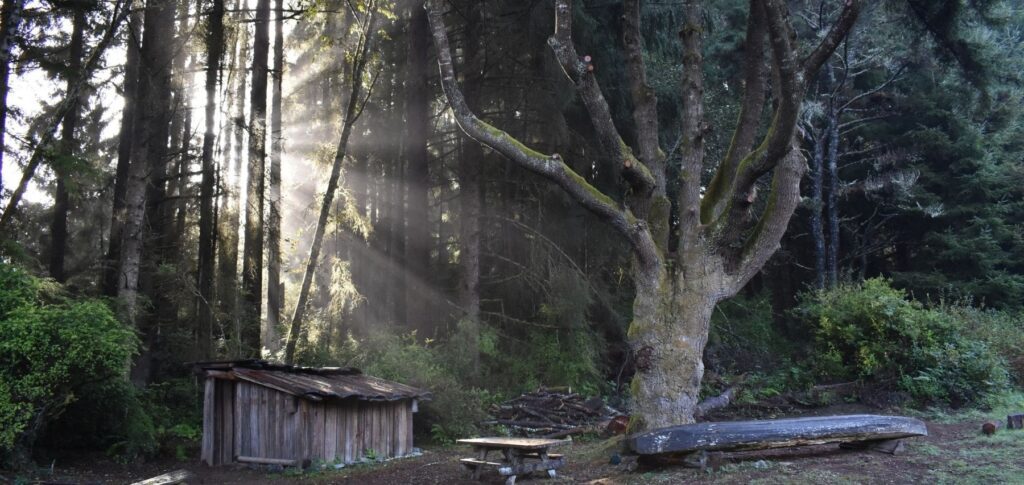 ParkSpeak: Sumeg Village in Patrick’s Point State Park