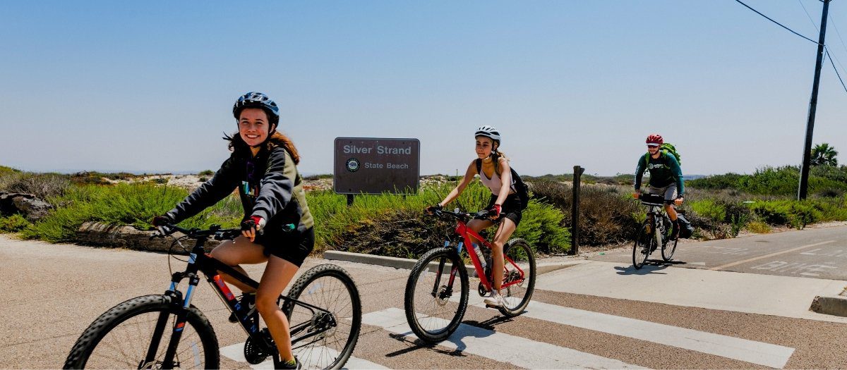 2024 Annual Report Bg