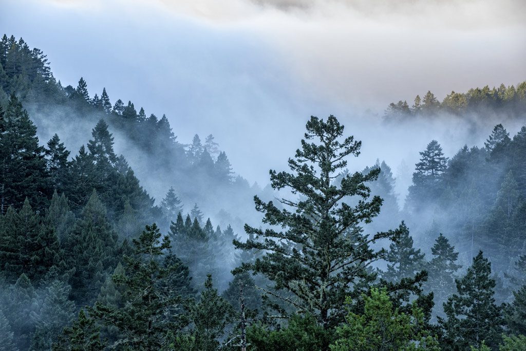Mount Tam Background Image