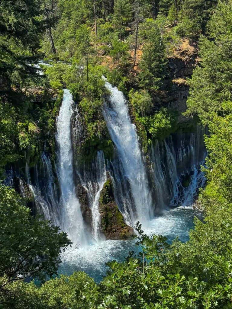 Scenic waterfall surrounded by lush green trees in California park.